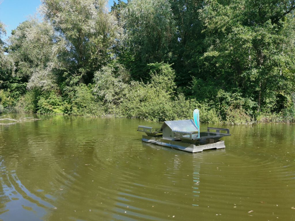 Müllerteich - Darmstadt