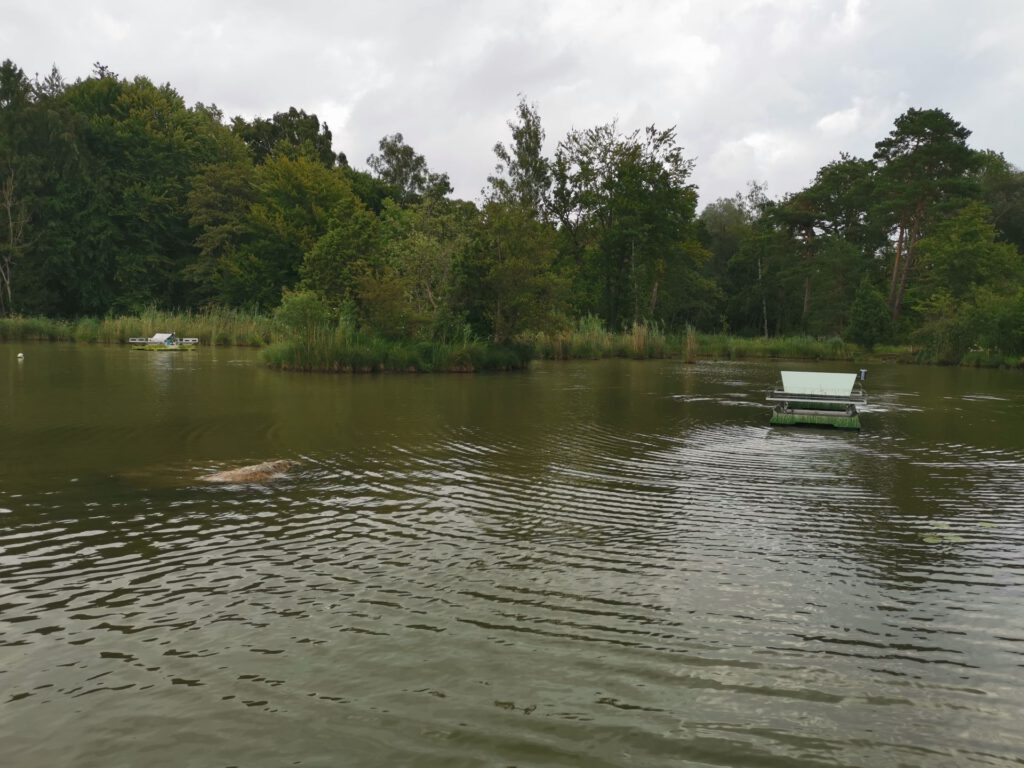 Ammersee bei München