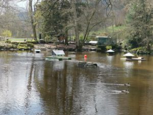 Bad Wildbad - Schwanensee