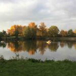 Mehr über den Artikel erfahren Angelsportverein Wolfskehlen 1967 e.V. – Schwanensee