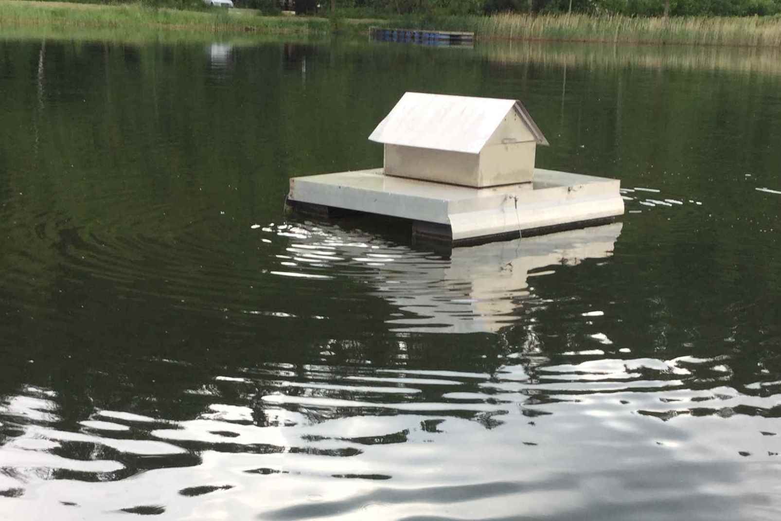 Mehr über den Artikel erfahren Goldbergsee in Coburg