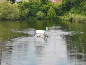 ESV Blau-Gold Frankfurt (Main) e.V. - Bild 1