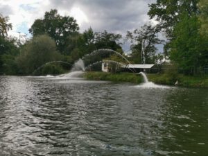 Natursee Knielingen